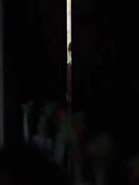 Tarde Demais Para Me Amar, Rei da Máfia - Episode 25