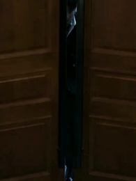 Episode 20 - [Dubbed]Heiress & The Courier: A Delivery of Love