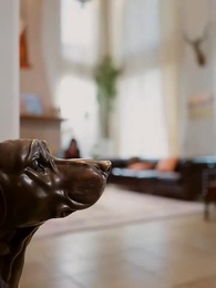 Episodio 37 - Me casé con la heredera equivocada