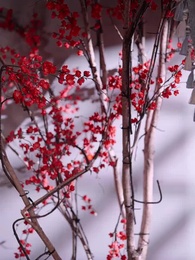 [Dubbed] From Ex-Wife to Empress - Episode 116