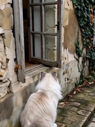 Episode 18 - Good Night, Mommy and Daddy