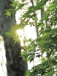 Bölüm 59 - Kaderin Kırıldığı Düğün