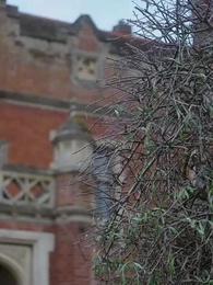 [Synchron] Zwischen ihr und vier Wölfen - Episode 2