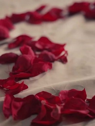 Episodio 75 - [Doppiato]Intrappolato nella spietatezza