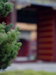 ไม่ยอมรับ นางคือพระชายา - Episode 62