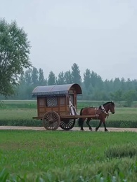 Episode 30 - The Caged Phoenix