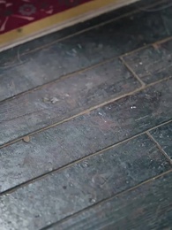 Majestad, volvió la que enterraron - Episode 58