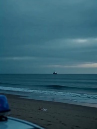 Episode 8 - Love Reduced to Ash