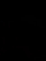 Episódio 52 - [Dublado]Abrindo um mercado no Apocalipse