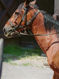 So You Won’t Marry Me? - Episode 46