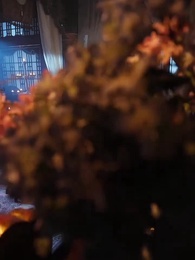 第31集 - 鳳染姝色