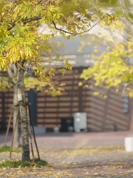 عهد الوفاء للجبل - Episode 48