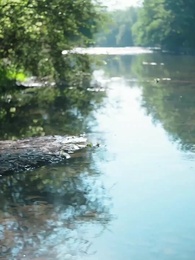 หน้าใหญ่ขนาดนี้ กล้าทิ้งลูกนำโชคให้ตระกูลได้ยังไง - Episode 80