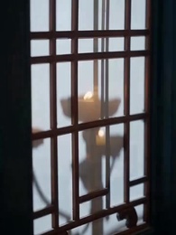 Episode 15 - The Caged Phoenix