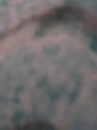 第13集 - 千金修路,萬金安鄰