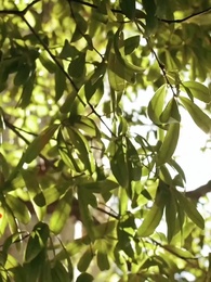 38화 - 반평생의 연, 종이 한 장의 배신