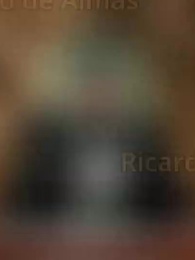 Episodio 8 - [Doblado]Que No Metan al Mensajero Negro