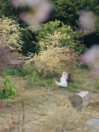 Tập 80 - Ngoảnh Lại Thấy Cố Nhân