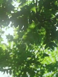 Episode 44 -  Aku Ingin Kita Bersama