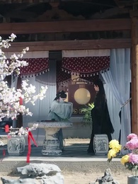 Episodio 7 - Majestad, volvió la que enterraron