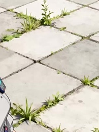 [Doblado]Leviatán: Evolución Infinita - Episode 28