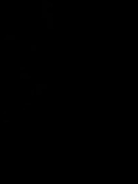 Episódio 31 - [Dublado]Abrindo um mercado no Apocalipse