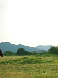 So You Won’t Marry Me? - Episode 56