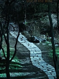 Episode 29 - I'm a Bad Boy, but I'm Unstoppable