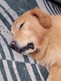 Episodio 8 - Sueños de lujo, caída segura