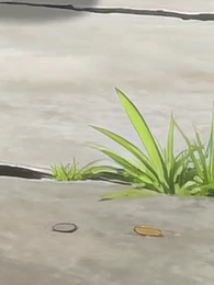 Episódio 10 - Da Favela ao Deus das Feras