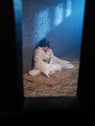 第29集 - 鳳染姝色