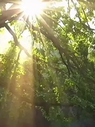 47화 - 내 가족은 내가 지킨다