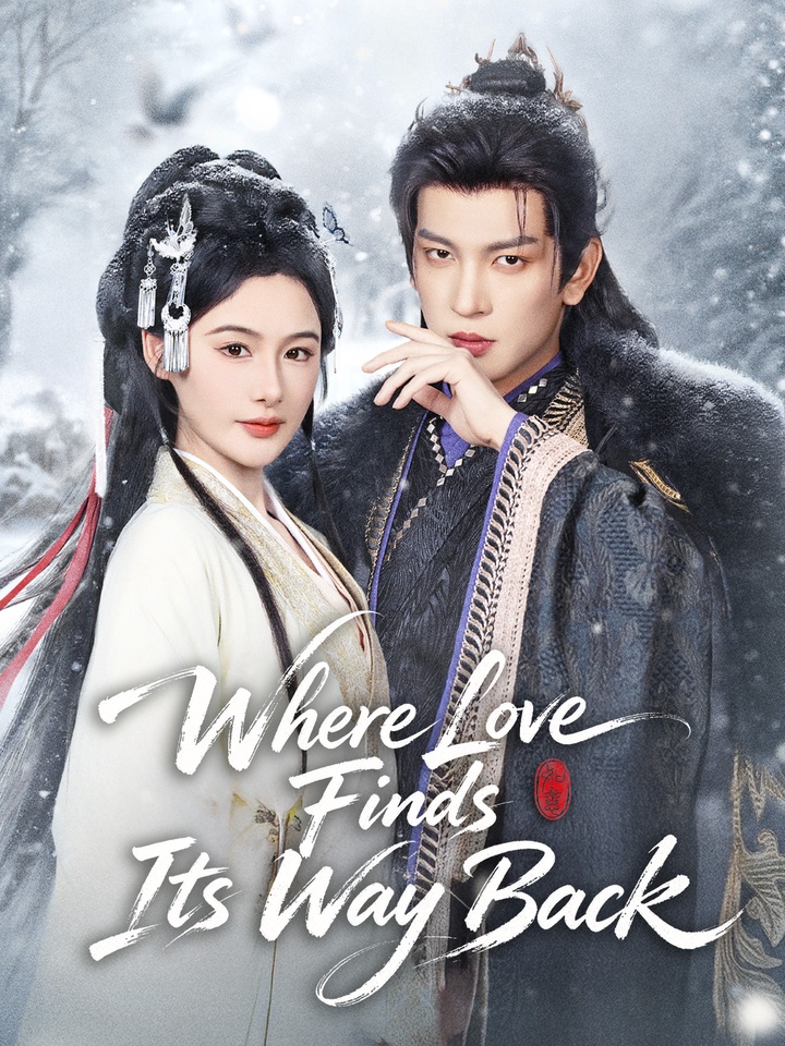 Where Love Finds Its Way Back poster