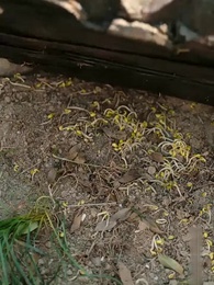 Episode 57 - Empress Wants Me Mystic Heart 