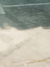 Bölüm 33 - [Dublajlı] Sürüsüz Kurt