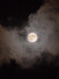 You Took His Heart, I Kept My Empire - Episode 26