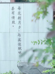 Episode 50 - Healer from the Mountains: Fate's Gift to the Tycoon