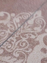 Hidden Phoenix - Episode 40