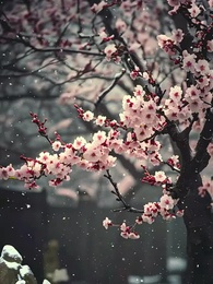 Episode 18 - Vom Lamm zur Wölfin