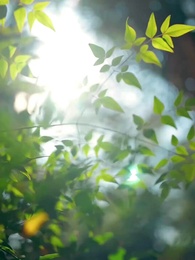 My Calculated Romance - Episode 62