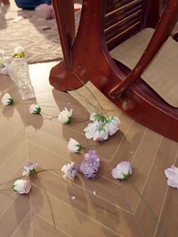  Del abandono al poder - Episode 51