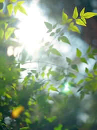 Tâm Cơ Đổi Vận - Episode 62