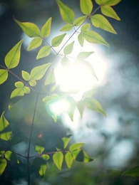 Tập 7 - Tâm Cơ Đổi Vận