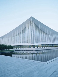 Episodio 79 - Le Robaron la Vida y Volvió por Todo