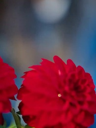 ร่วมฝ่าด่านขุนเขาหมื่นลี้ - Episode 6