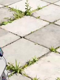 [Doppiato]L'Ultimo Guardiano - Episode 28