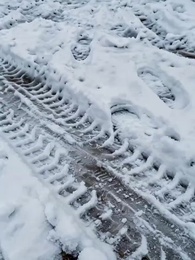 Episodio 7 - El Eco del Destino