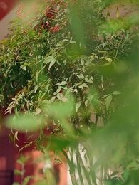 Tâm Cơ Đổi Vận - Episode 80