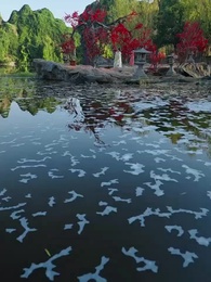 ร่วมฝ่าด่านขุนเขาหมื่นลี้ - Episode 14