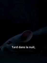 Épisode 7 - [Doublé]Maman, crois-moi une dernière fois